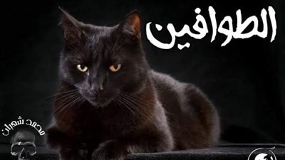 غزالة الشهاب 