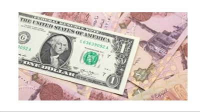 سعر الدولار
