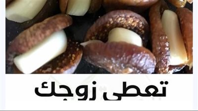 تعطي قوة الحصان مذكورة بالقرآن الكل ناسيها