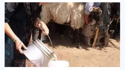 قصه دخل رجل ڠريب الى مطعم في الشام كامله