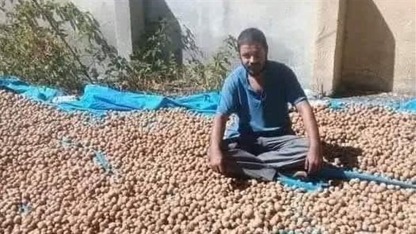 موقع أيام نيوز