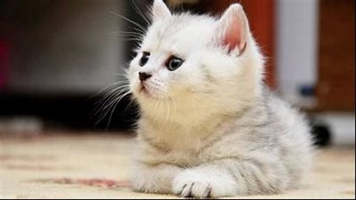 قصتي مع الطبيب قصه حقيقيه وكامله