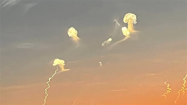 موقع أيام نيوز