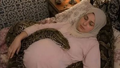امرأة حامل بجوار أفعاها الأليفة الضخمة كل ليلة