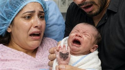 حلم جوزي حكايات زهرة حصري منصة لمحه
